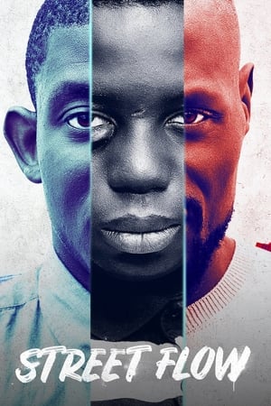 Street Flow 2019 BRRIp
