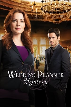 Wedding Planner Mystery 2014 BRRIp