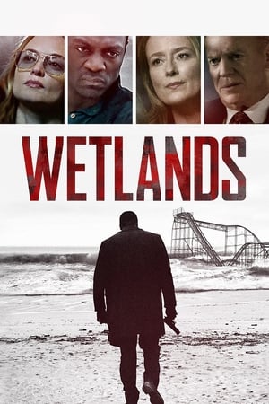 Wetlands 2017 BRRip