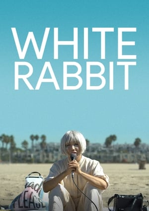 White Rabbit 2018 BRRip