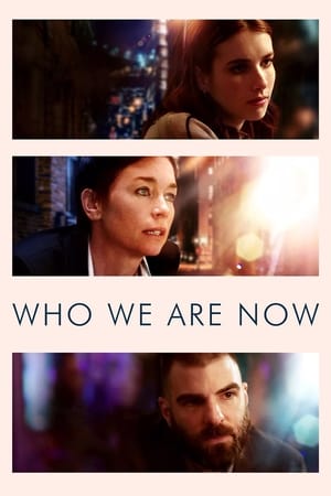 Who We Are Now 2017 BRRip