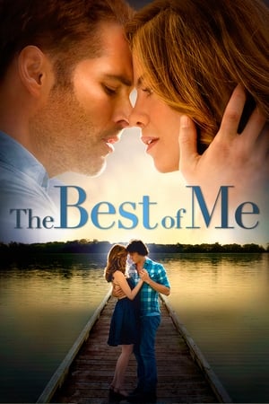 The Best of Me 2014 BRRIp