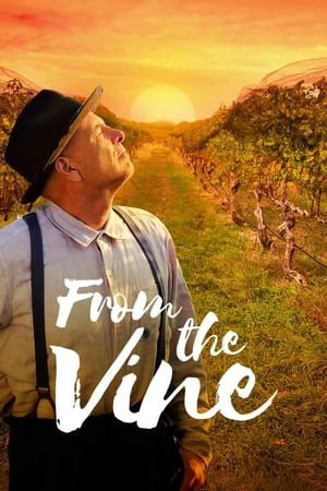 From the Vine 2019 BRRIp