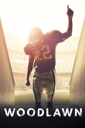 Woodlawn 2015 BRRip