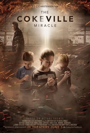 The Cokeville Miracle 2015 BRRip