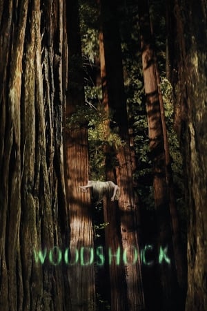 Woodshock 2017 BRRip