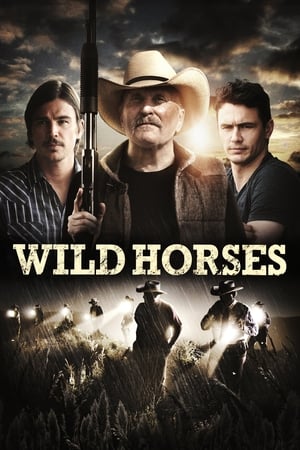 Wild Horses 2015 BRRip