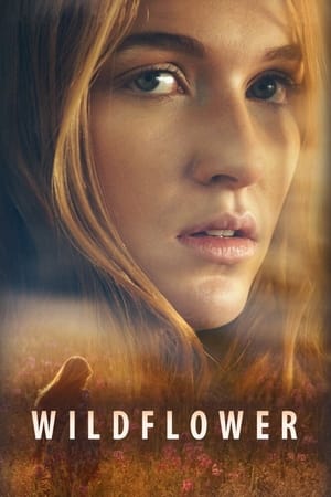 Wildflower 2017 BRRip