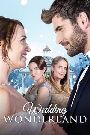 A Wedding Wonderland 2014 BRRip