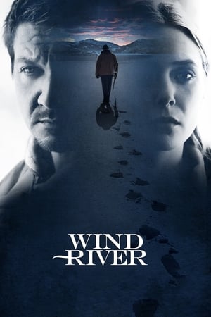 Wind River 2017 BRRIp