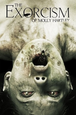 The Exorcism of Molly Hartley 2015 BRRIp