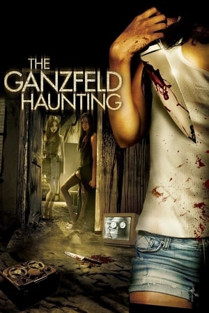 The Ganzfeld Haunting 2014 BRRip