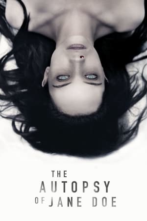 The Autopsy of Jane Doe 2016 BRRip