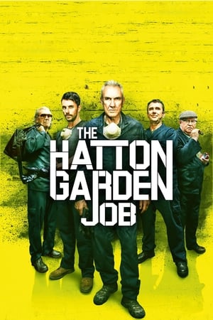The Hatton Garden Job 2017 BRRip