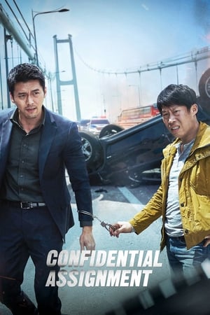Confidential Assignment 2017 Dual Audio