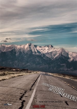 Furthest Witness 2017 BRRIp
