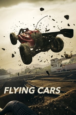 Flying Cars 2019 BRRIp