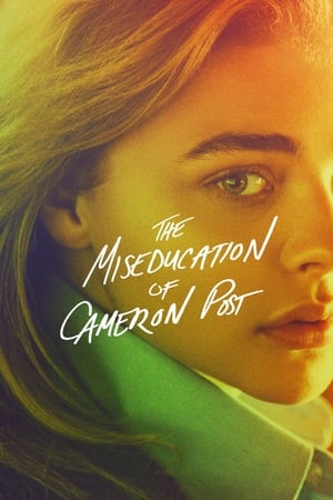 The Miseducation of Cameron Post 2018 BRRIp