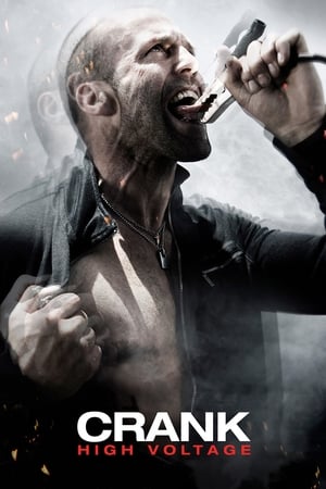 Crank: High Voltage 2009 Dual Audio