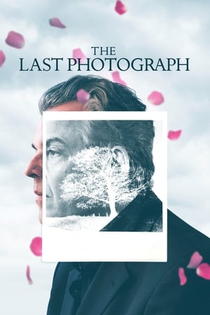The Last Photograph 2017 BRRip