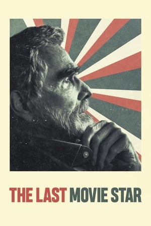 The Last Movie Star 2017 BRRip