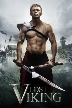 The Lost Viking 2018 BRRip