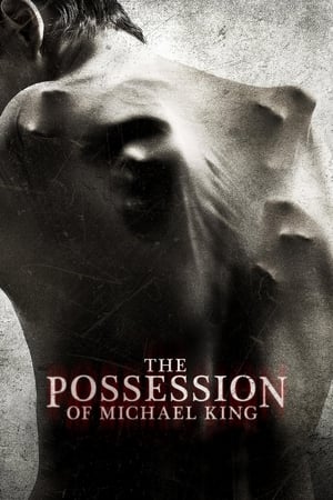 The Possession of Michael King 2014 BRRip