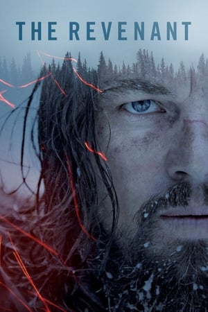 The Revenant 2015 BRRip