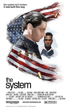 The System 2018 BRRIp