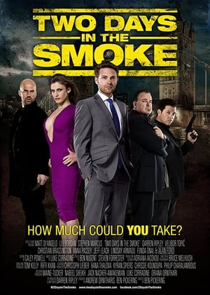 The Smoke 2014 BRRip