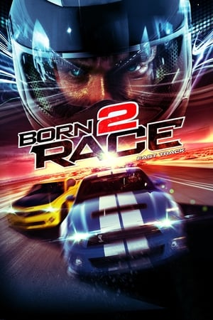 Born to Race: Fast Track 2014 Dual Audio