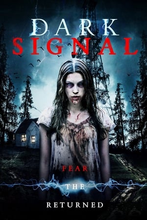 Dark Signal 2016 BRRip