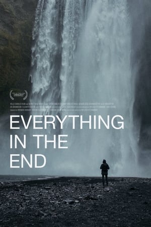 Everything in the End 2021 BRRip