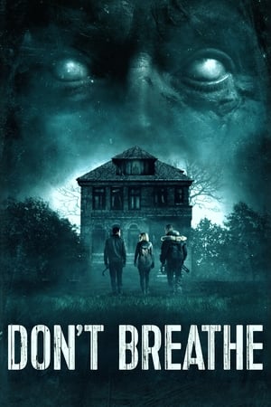 Don't Breathe 2016 Dual Audio
