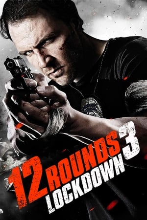 12 Rounds 3: Lockdown 2015 BRRip
