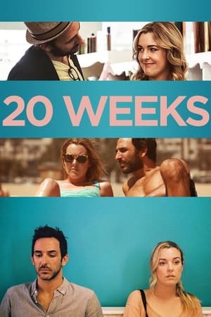 20 Weeks 2017 BRRip