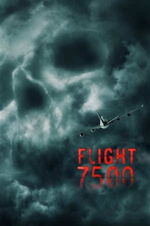 Flight 7500 2014 BRRip