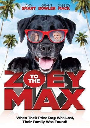 Zoey to the Max 2015 BRRip
