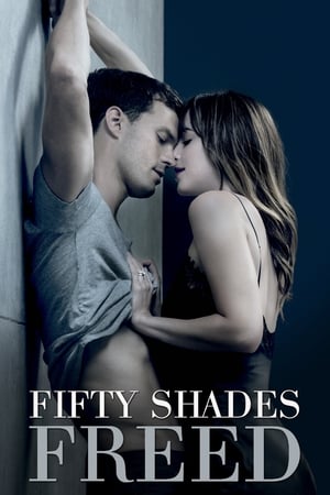 Fifty Shades Freed 2018 Dual Audio