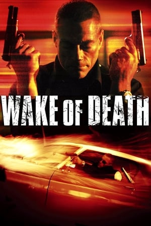 Wake of Death 2004  Dual Audio
