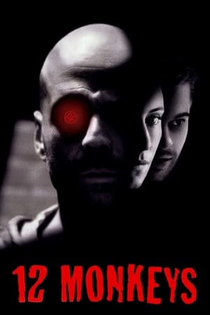 Twelve Monkeys 1995 BRRIp