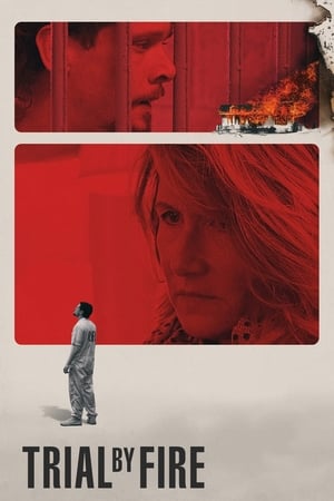 Trial by Fire 2018 BRRip