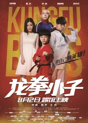 Kung Fu Boys 2016 Dual Audio