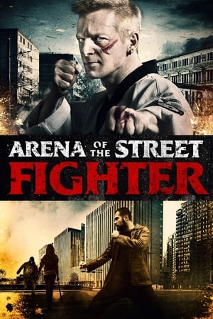 Arena of the Street Fighter (2012) Dual Audio Hindi