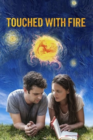 Touched with Fire 2015 BRRip