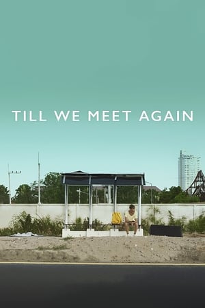 Till We Meet Again 2016 BRRip