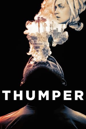 Thumper 2017 BRRIp