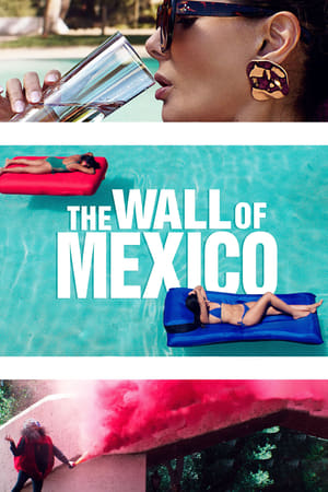 The Wall of Mexico 2019 BRRIp