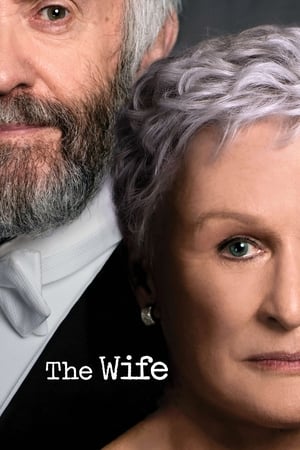 The Wife 2017 BRRIp