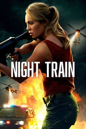 Night Train 2023 BRRip